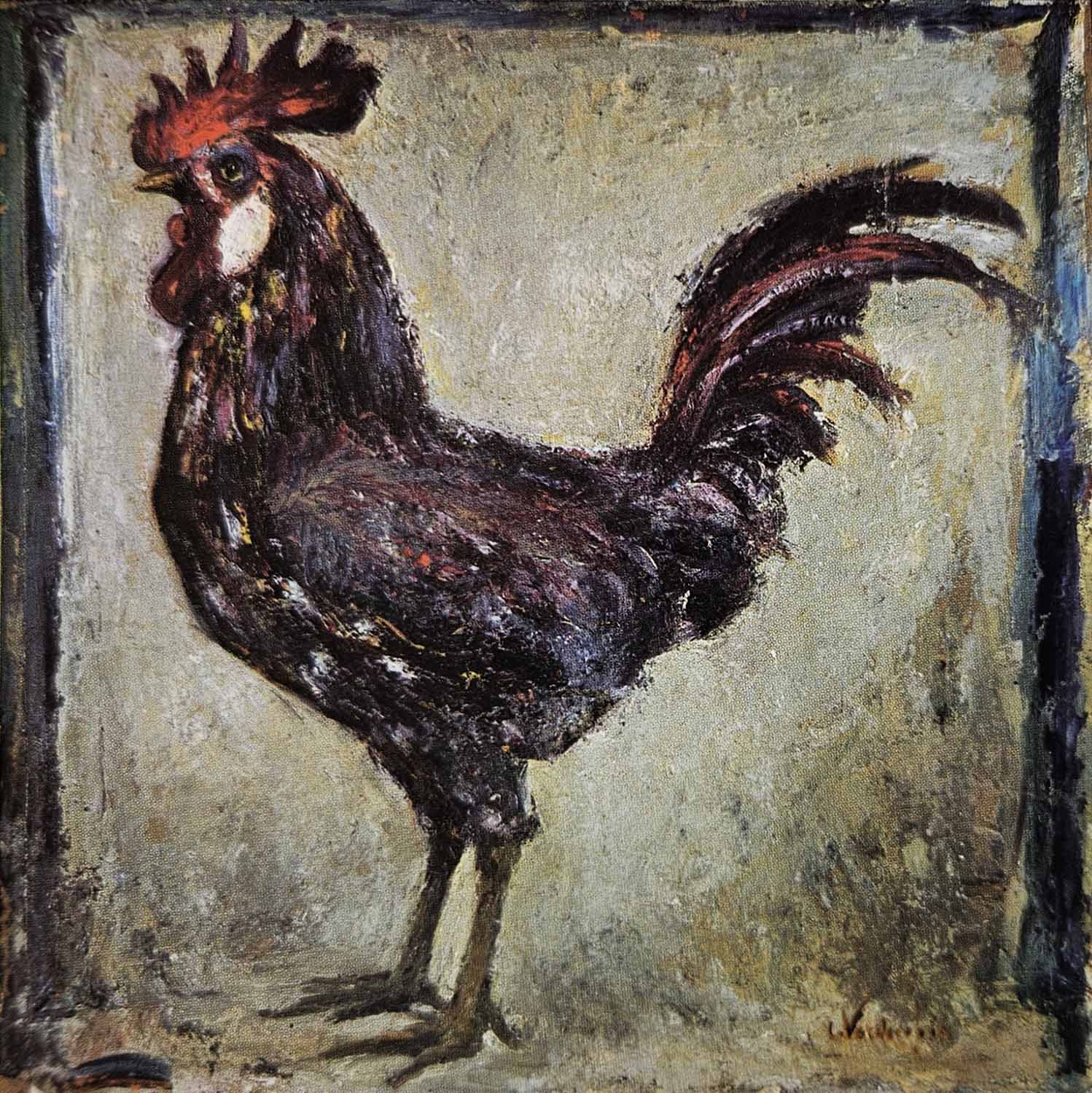 Il gallo