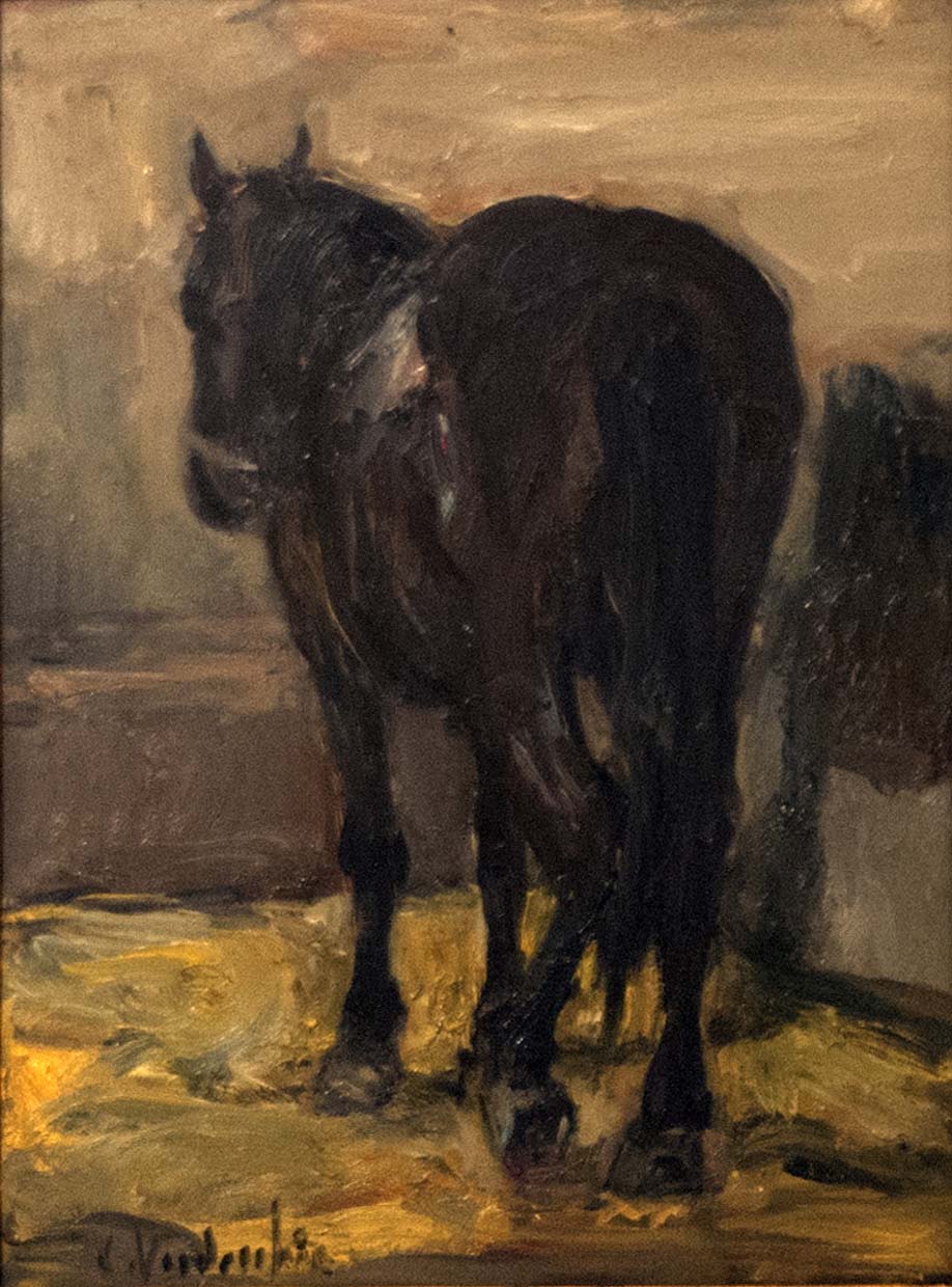 Cavallo nella stalla