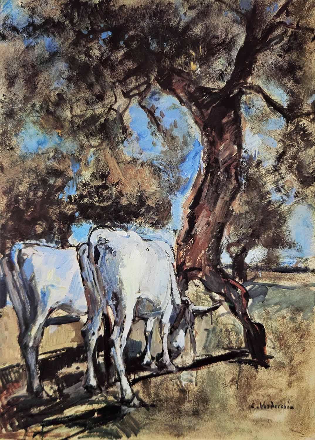 Vacche sotto l'ulivo