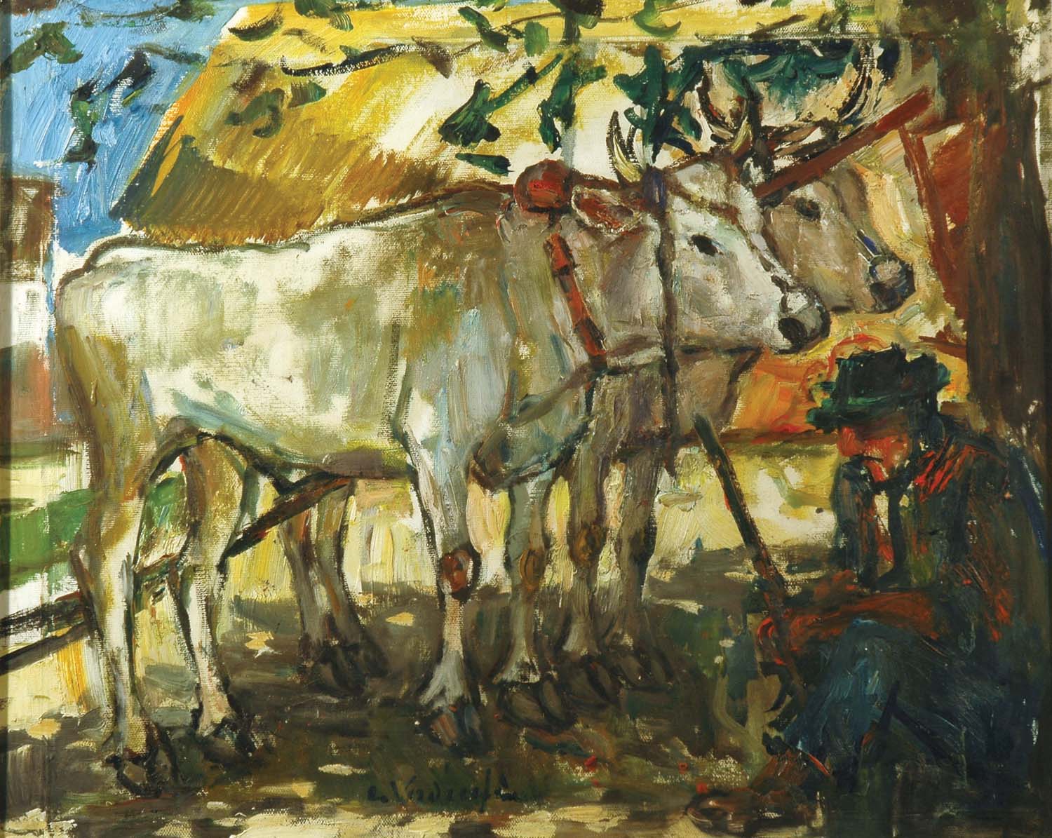 Contadino al riposo con i buoi