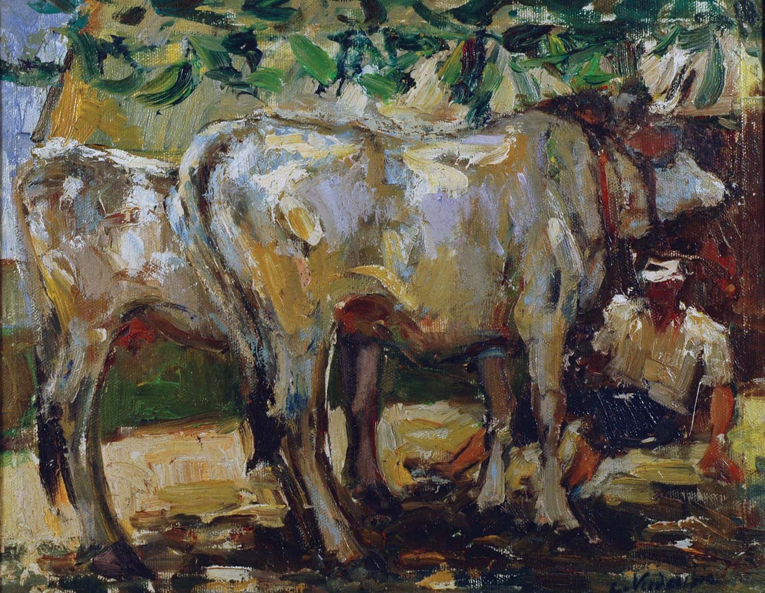 Mucche e contadini