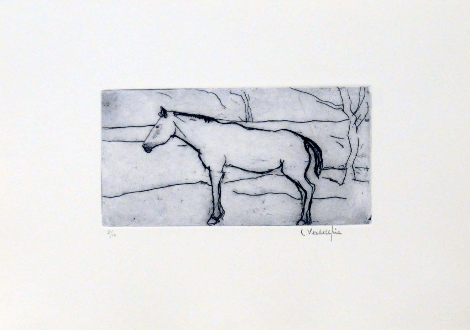 Cavallo