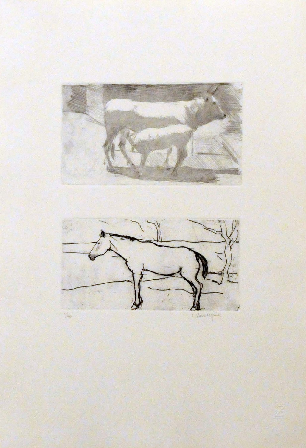 Maternità e cavallo